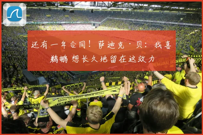 还有一年合同！萨迪克·贝：我喜欢鹈鹕 想长久地留在这效力